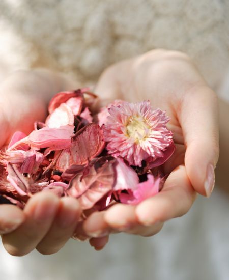 Image symbolique de pétales séchés dans des mains, évoquant la délicatesse des émotions après des traumatismes psychologiques.